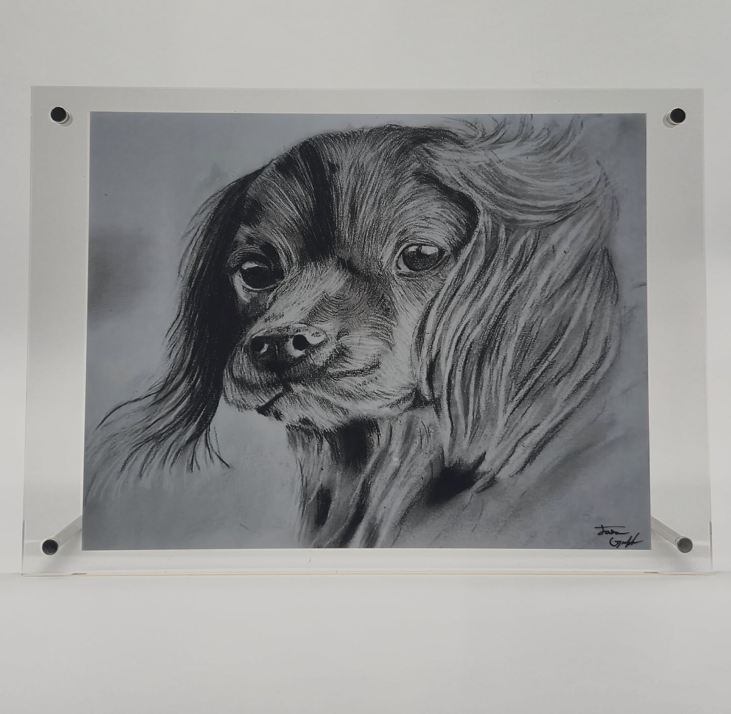 The Glass Gallery Series
Piece No. 6: "Faithful Eyes"