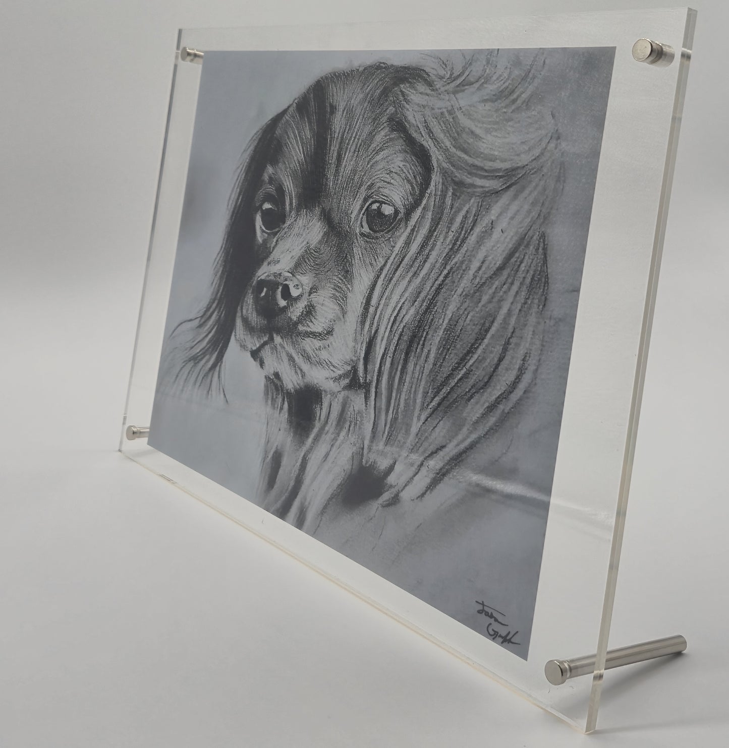 The Glass Gallery Series
Piece No. 6: "Faithful Eyes"