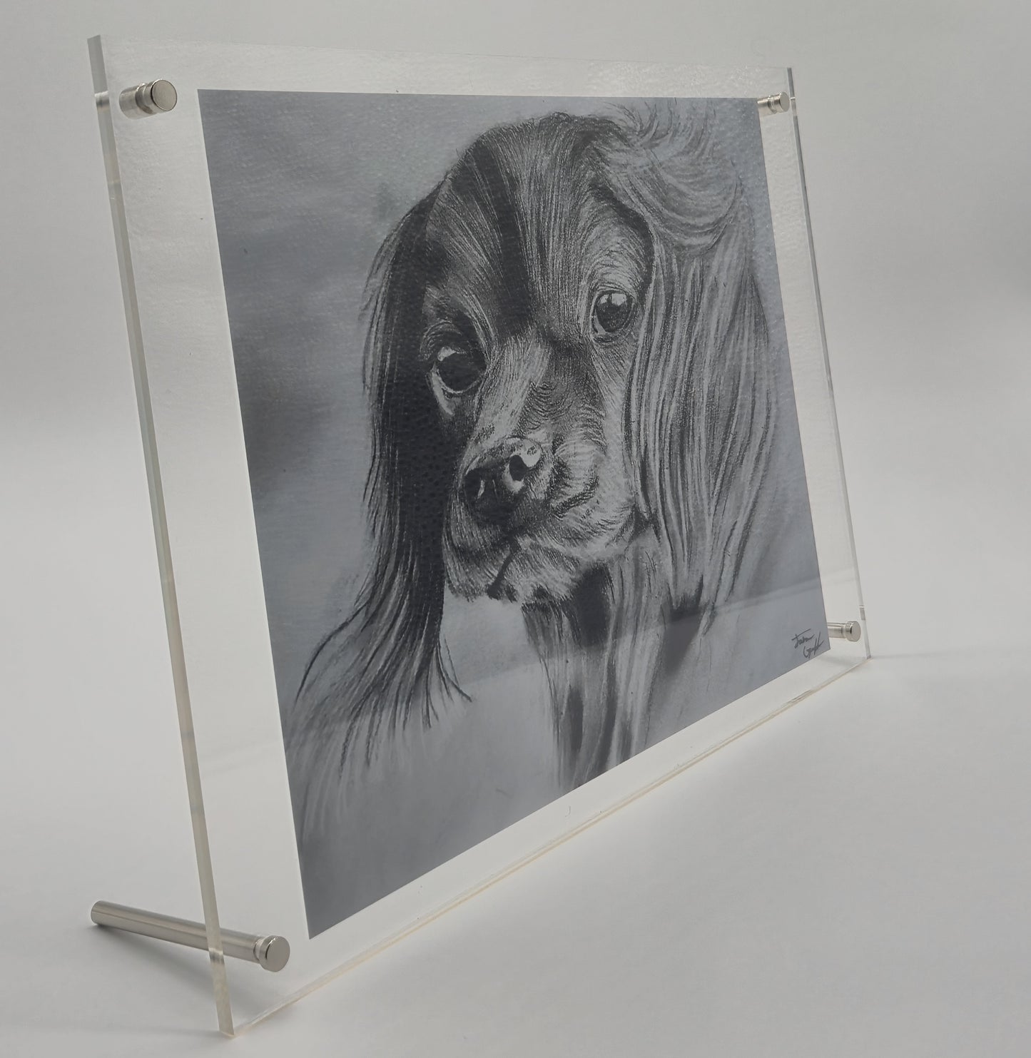 The Glass Gallery Series
Piece No. 6: "Faithful Eyes"