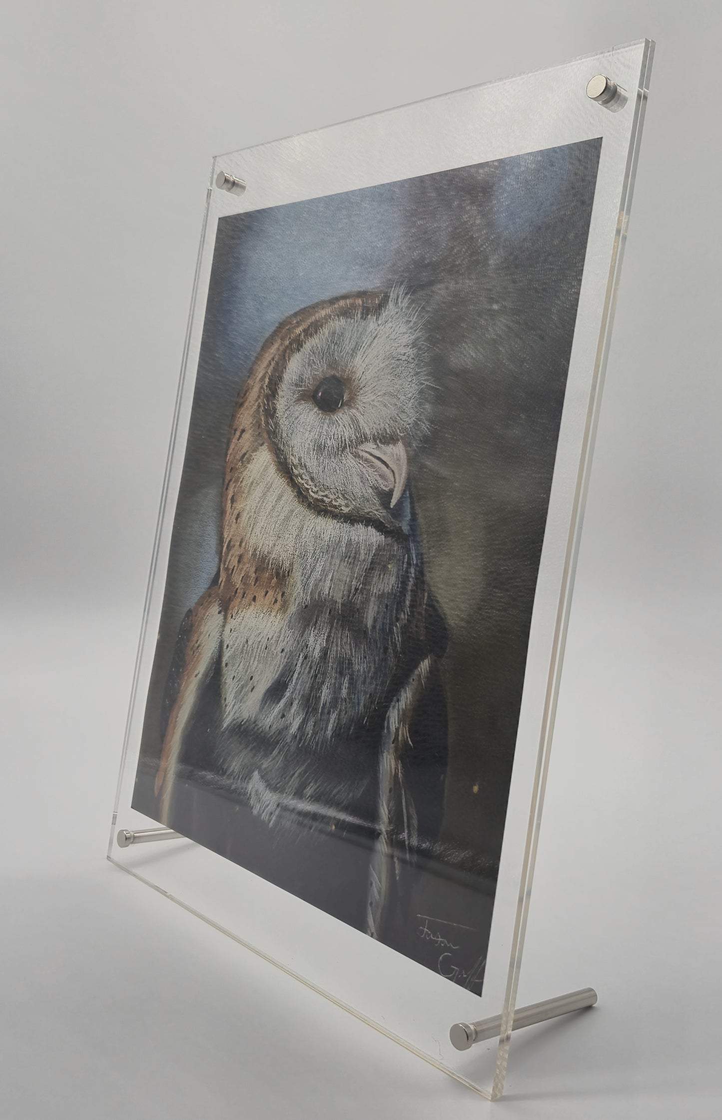 The Glass Gallery Series
Piece No. 4: "The Silent Scholar"