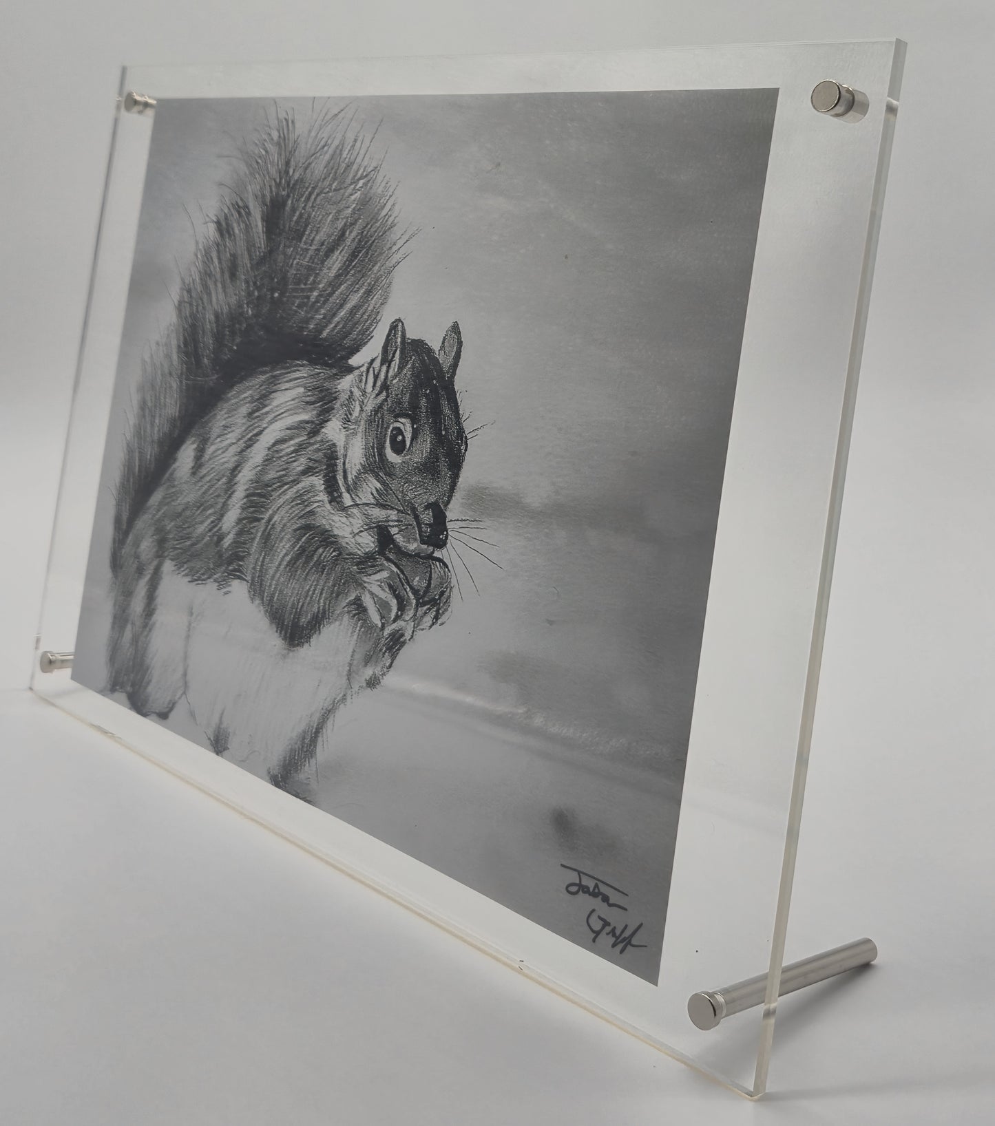 The Glass Gallery Series
Piece No. 5: "Bushy-tail Guardian"