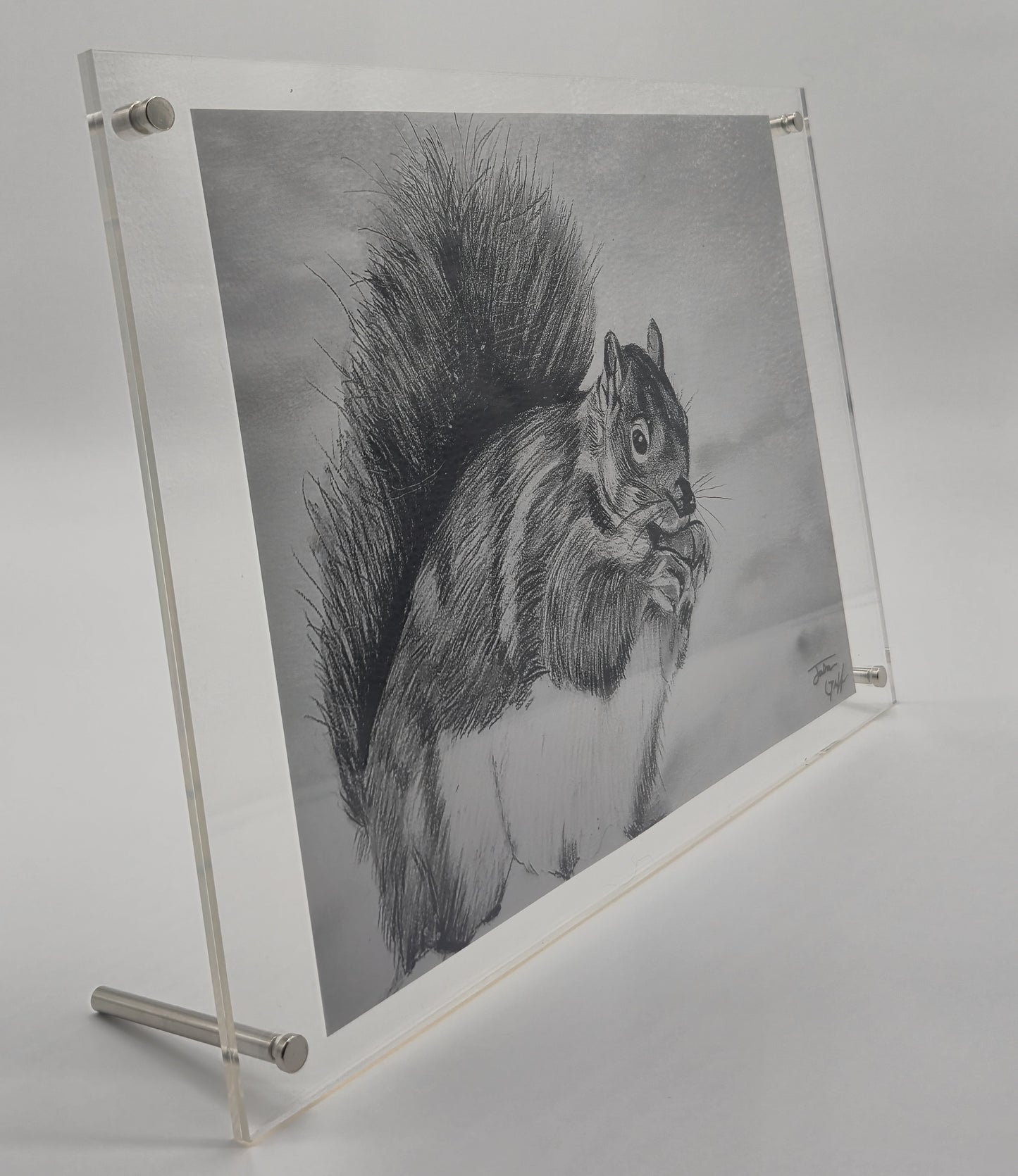The Glass Gallery Series
Piece No. 5: "Bushy-tail Guardian"