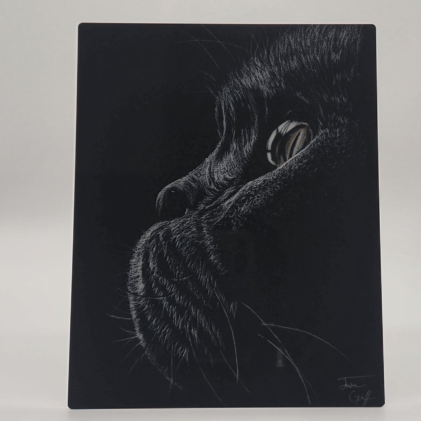 The Metal Print Series No. 10: "Whiskers of Wisdom"