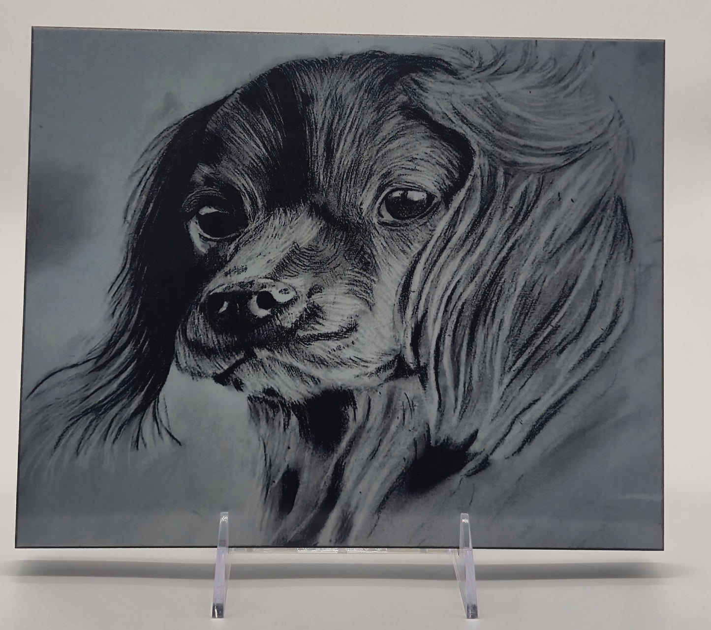 The Metal Print Series No. 8: "Faithful Eyes"