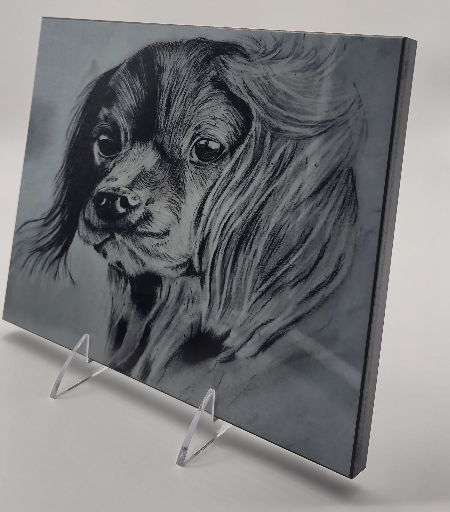 The Metal Print Series No. 8: "Faithful Eyes"