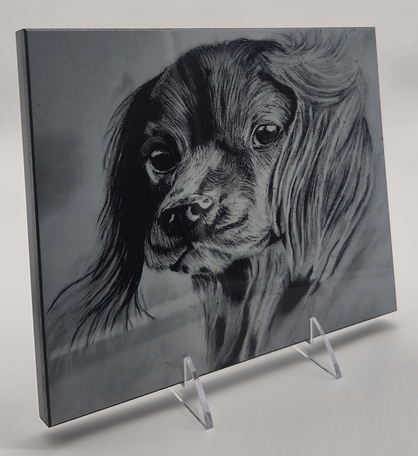 The Metal Print Series No. 8: "Faithful Eyes"