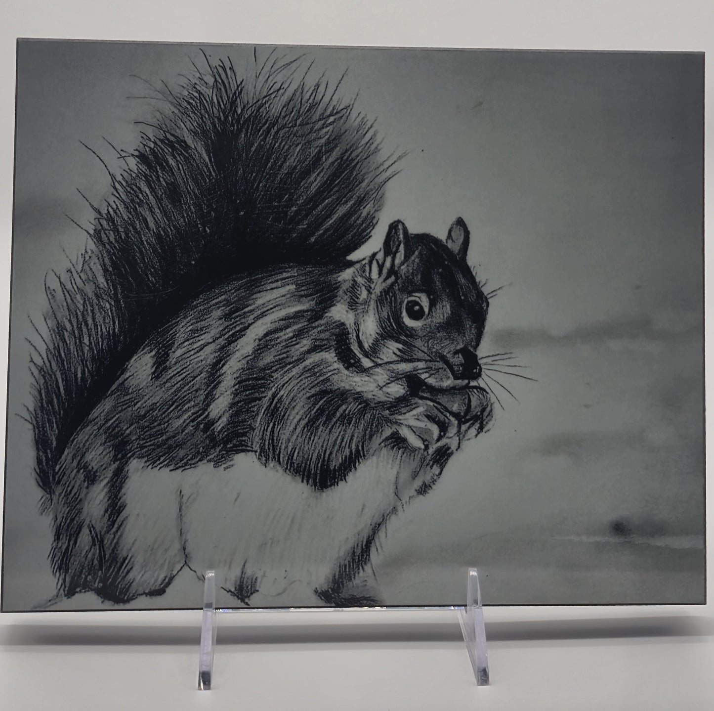 The Metal Print Series No. 7: "Bushy-Tail Guardian"
