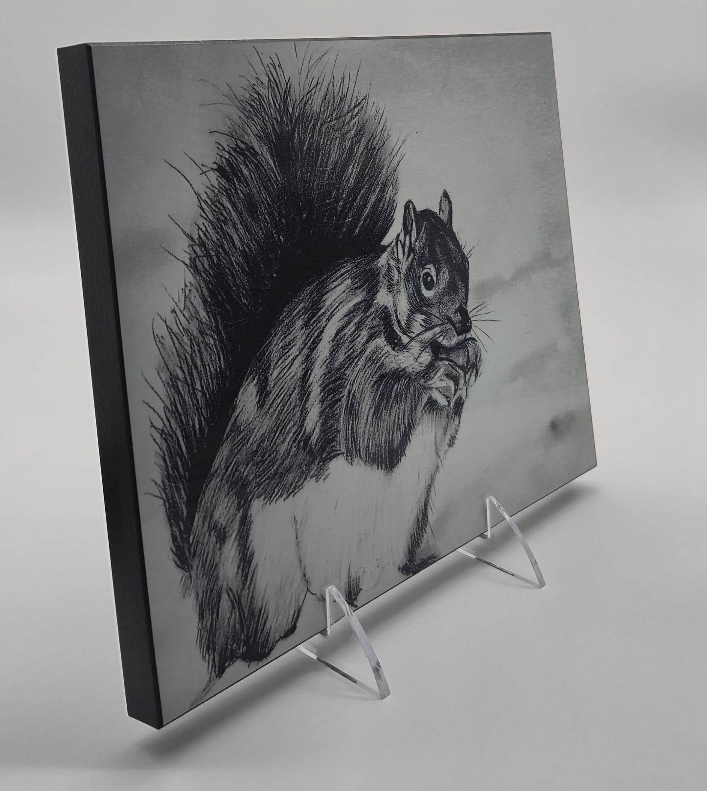 The Metal Print Series No. 7: "Bushy-Tail Guardian"