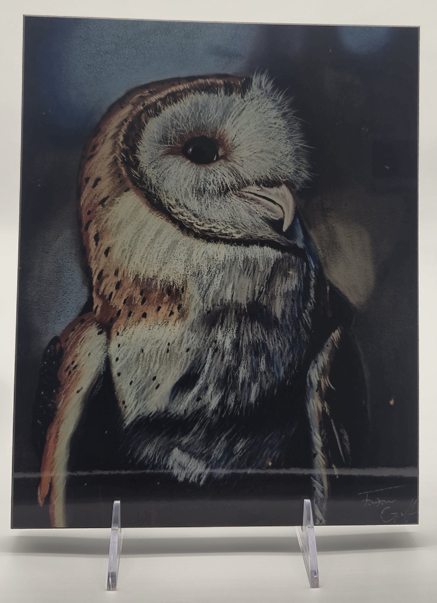 The Metal Print Series No. 3: "The Silent Scholar"