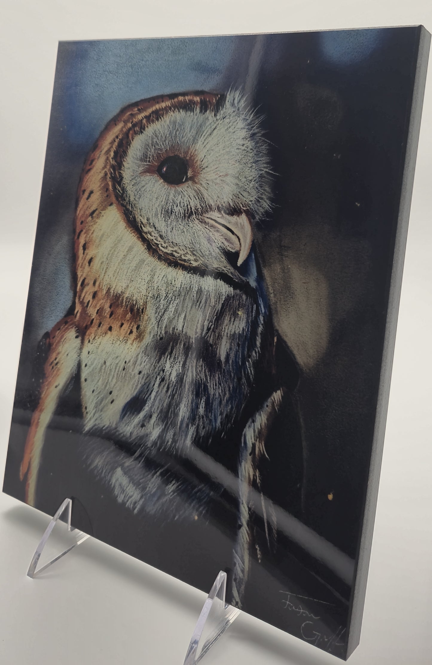 The Metal Print Series No. 3: "The Silent Scholar"