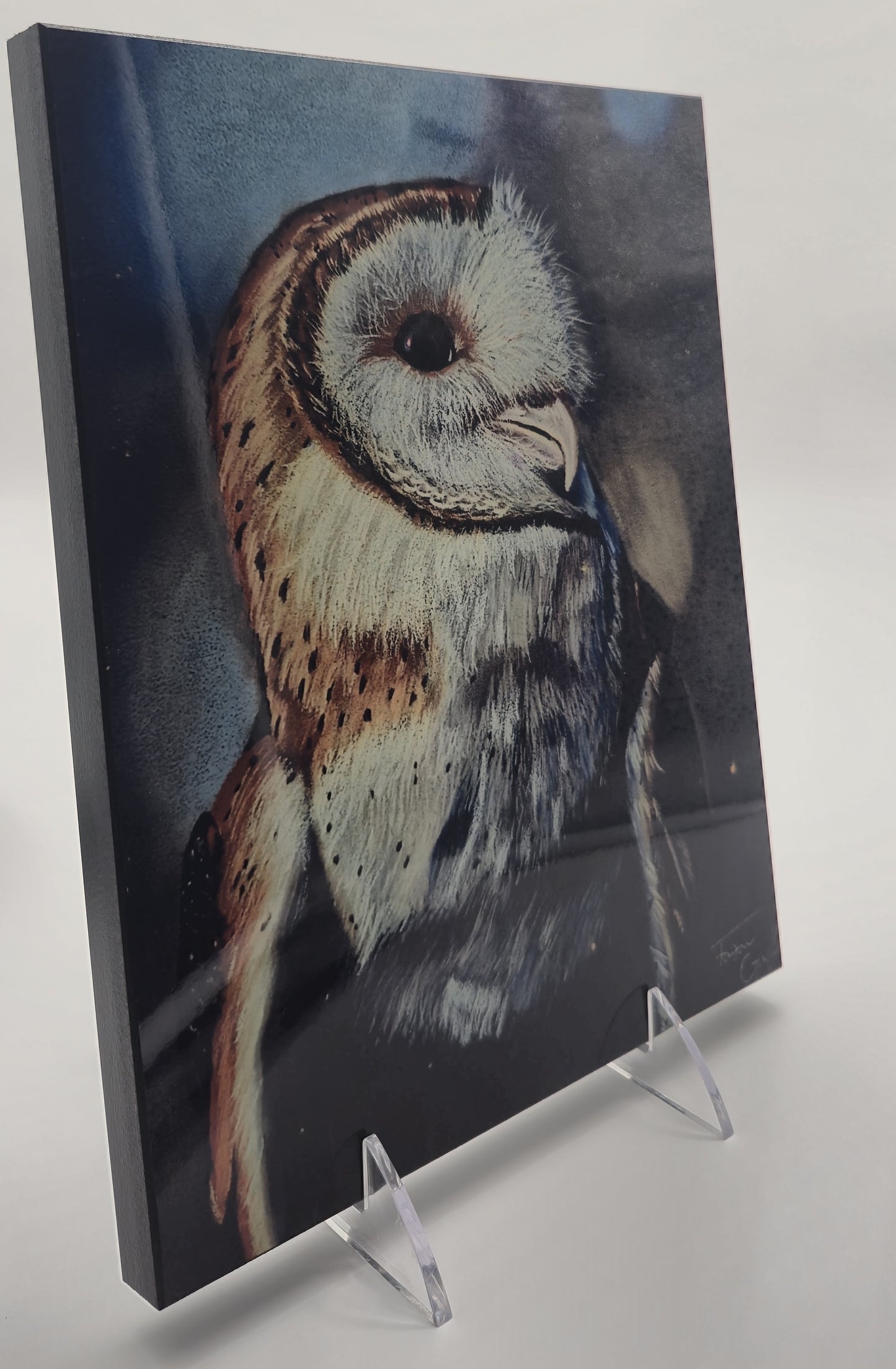 The Metal Print Series No. 3: "The Silent Scholar"