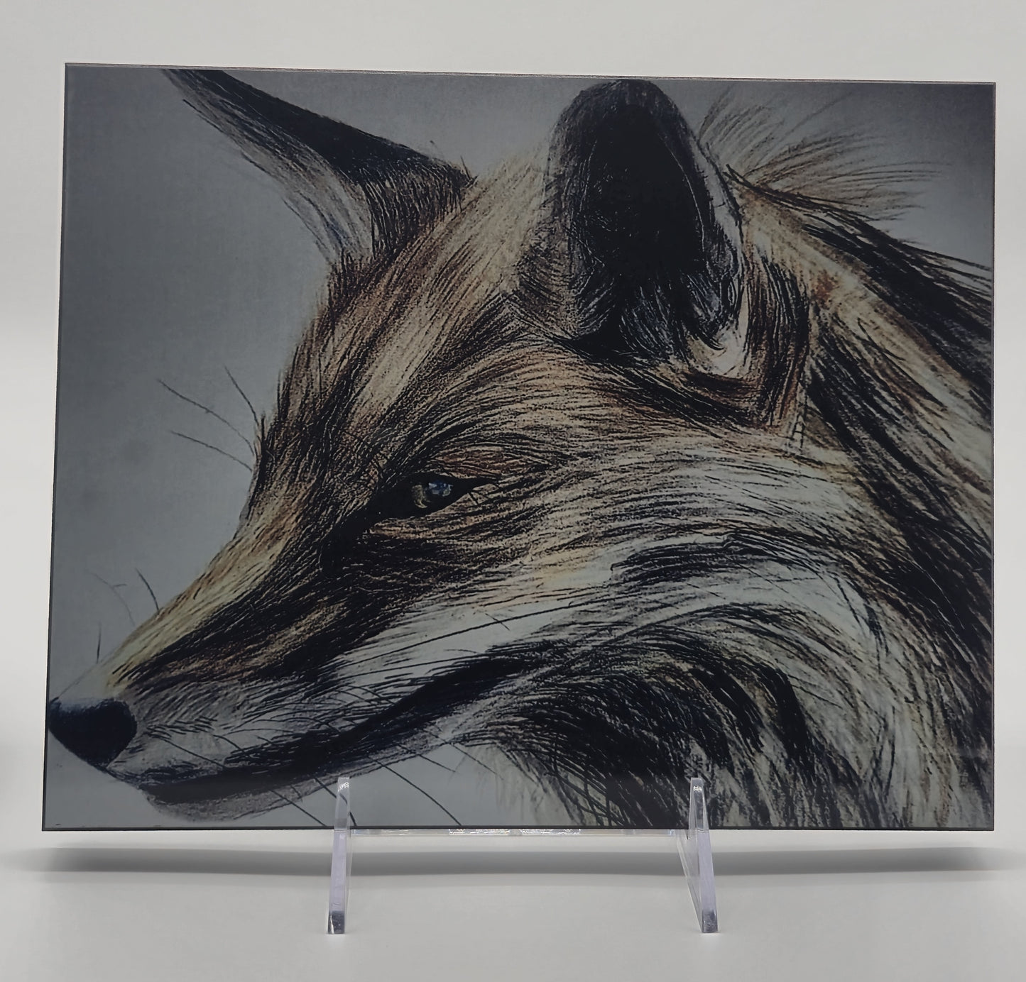 The Metal Print Series No. 1: "The Clever One"
