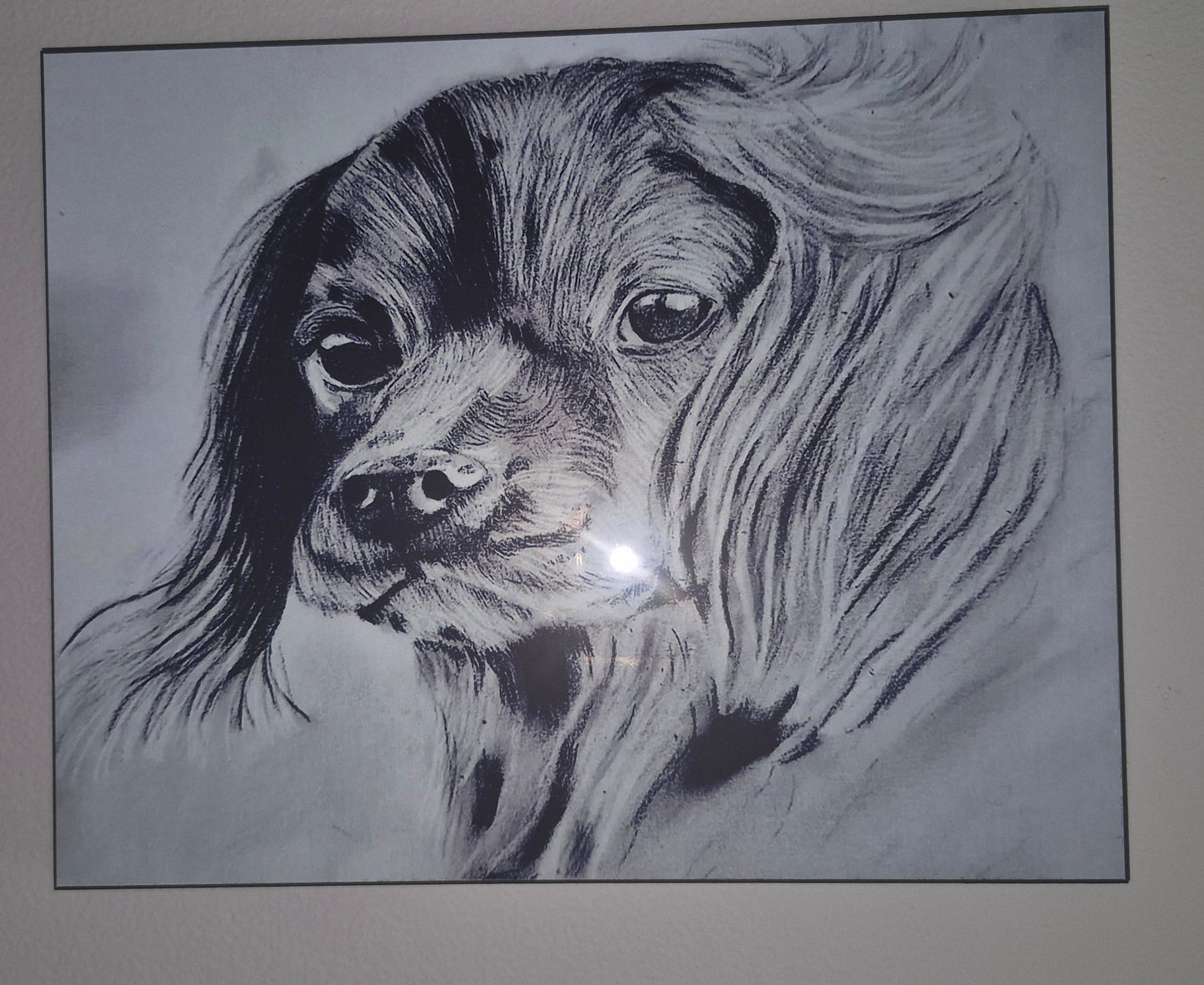 The Metal Print Series No. 8: "Faithful Eyes"