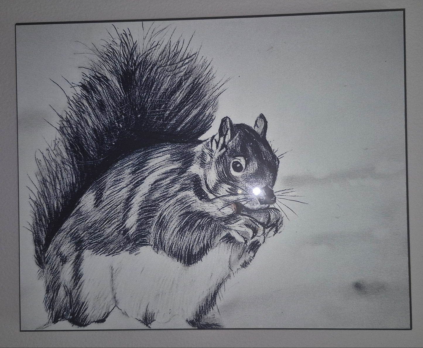 The Metal Print Series No. 7: "Bushy-Tail Guardian"
