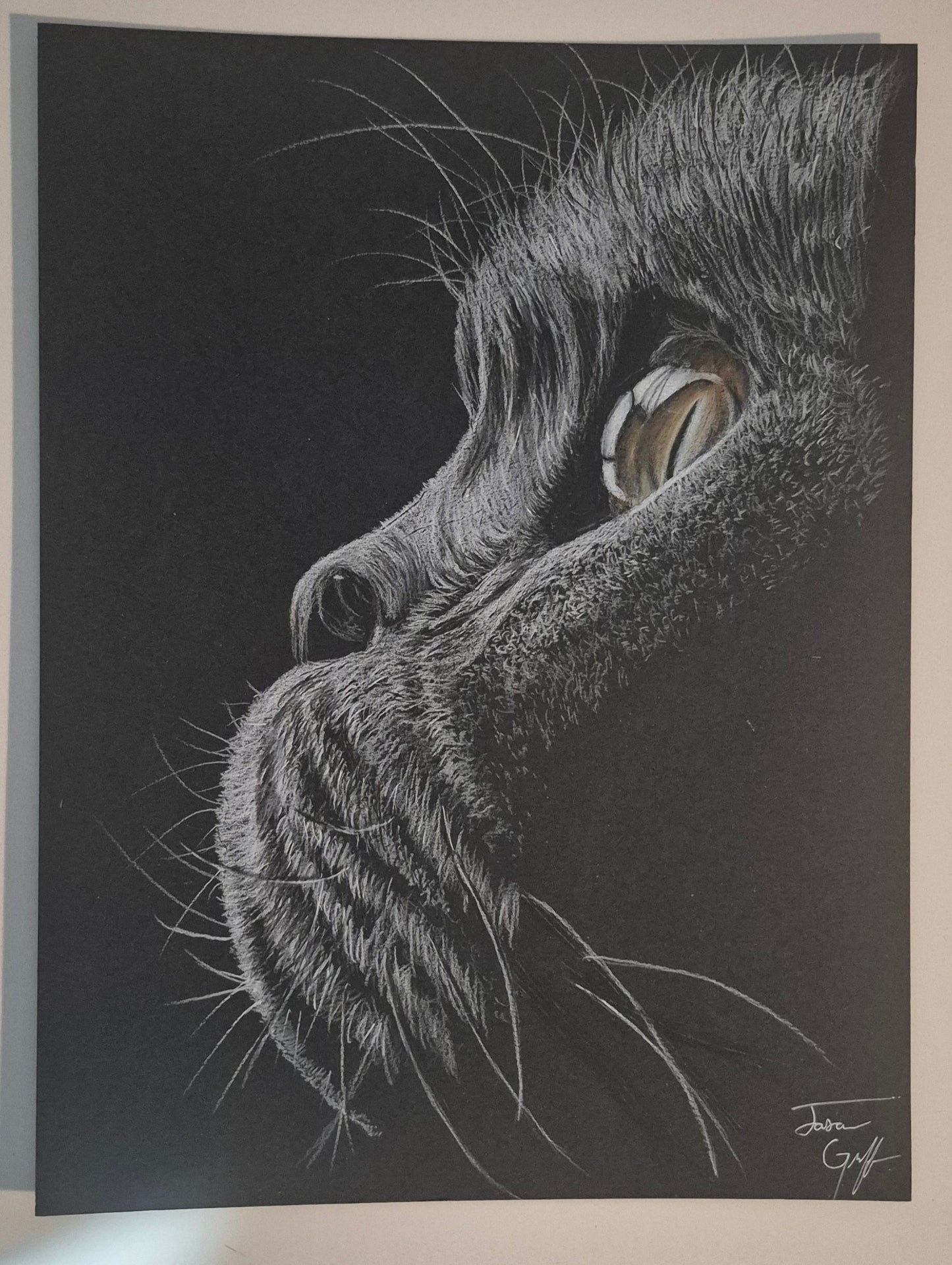 "Whiskers of Wisdom" – Original Charcoal & White Pencil Artwork