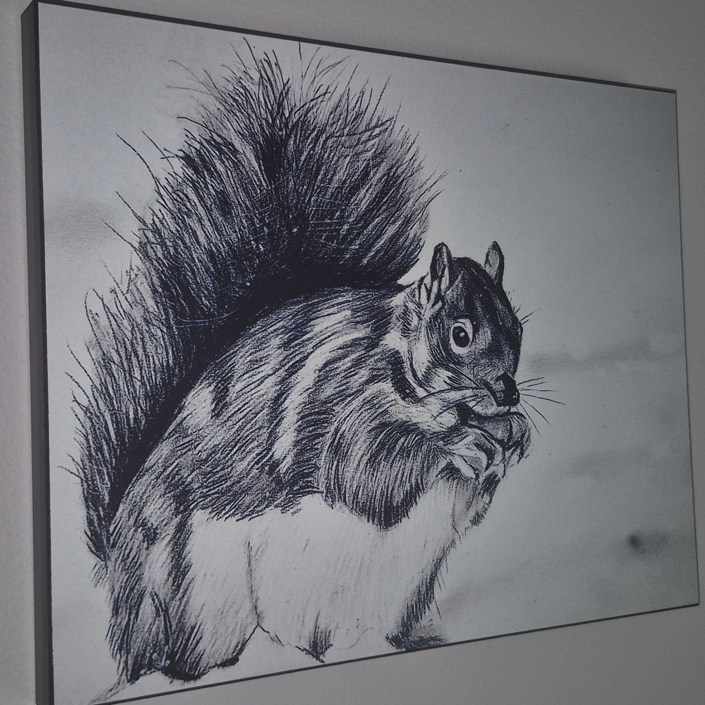 The Metal Print Series No. 7: "Bushy-Tail Guardian"