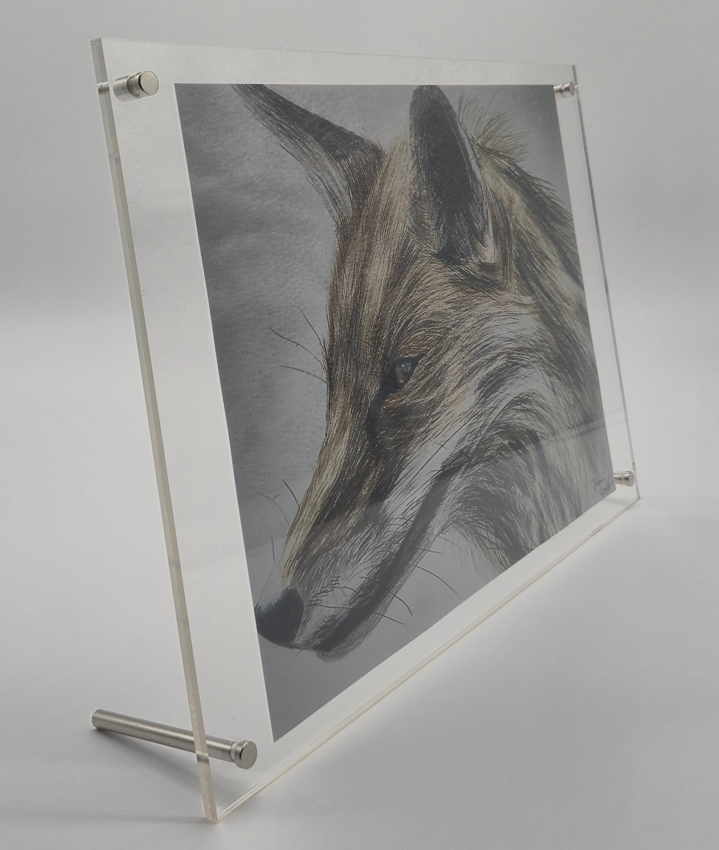 The Glass Gallery Series Piece No. 1: "The Clever One"