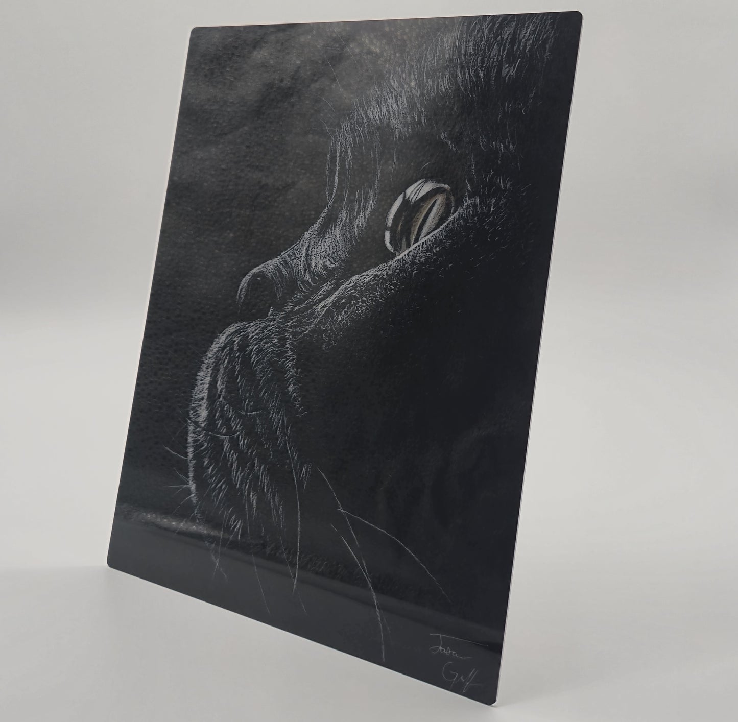 The Metal Print Series No. 10: "Whiskers of Wisdom"