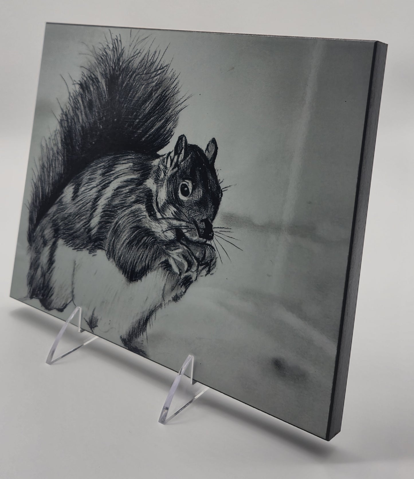 The Metal Print Series No. 7: "Bushy-Tail Guardian"