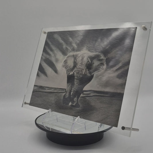 The Glass Gallery Series

Piece No. 8: "The Unyielding One"