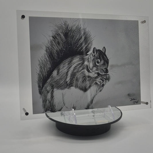 The Glass Gallery Series

Piece No. 5: "Bushy-tail Guardian"