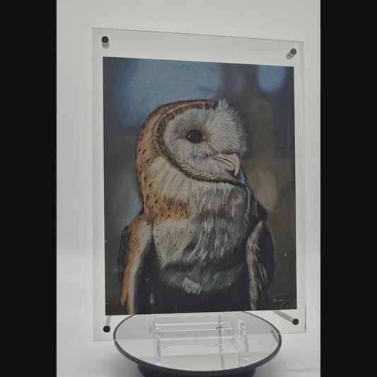 The Glass Gallery Series

Piece No. 4: "The Silent Scholar"