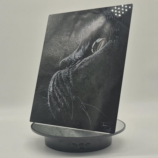 The Metal Print Series No. 10: "Whiskers of Wisdom"