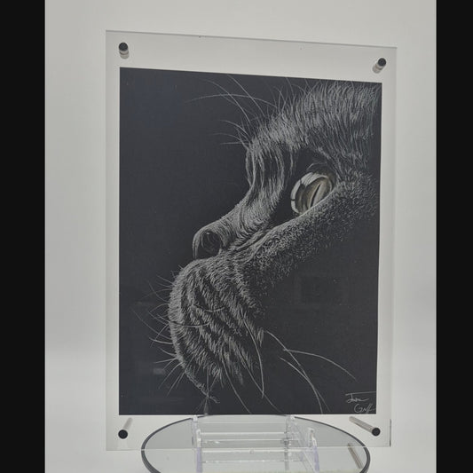 The Glass Gallery Series Piece No. 2: "Whiskers of Wisdom"