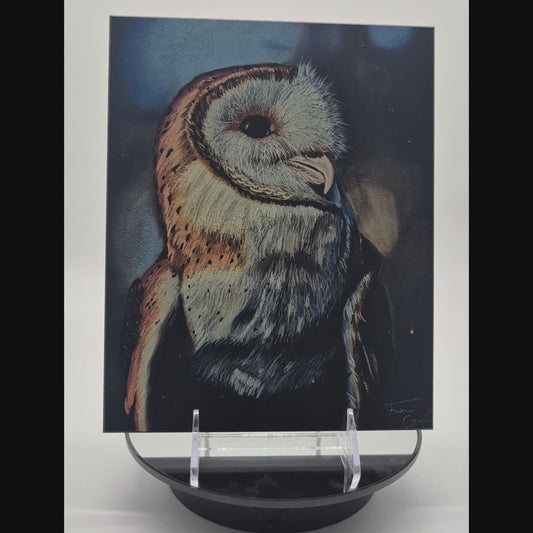The Metal Print Series No. 3: "The Silent Scholar"