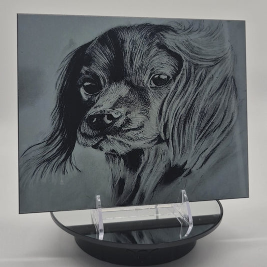 The Metal Print Series No. 8: "Faithful Eyes"