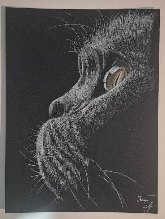 "Whiskers of Wisdom" – Original Charcoal & White Pencil Artwork